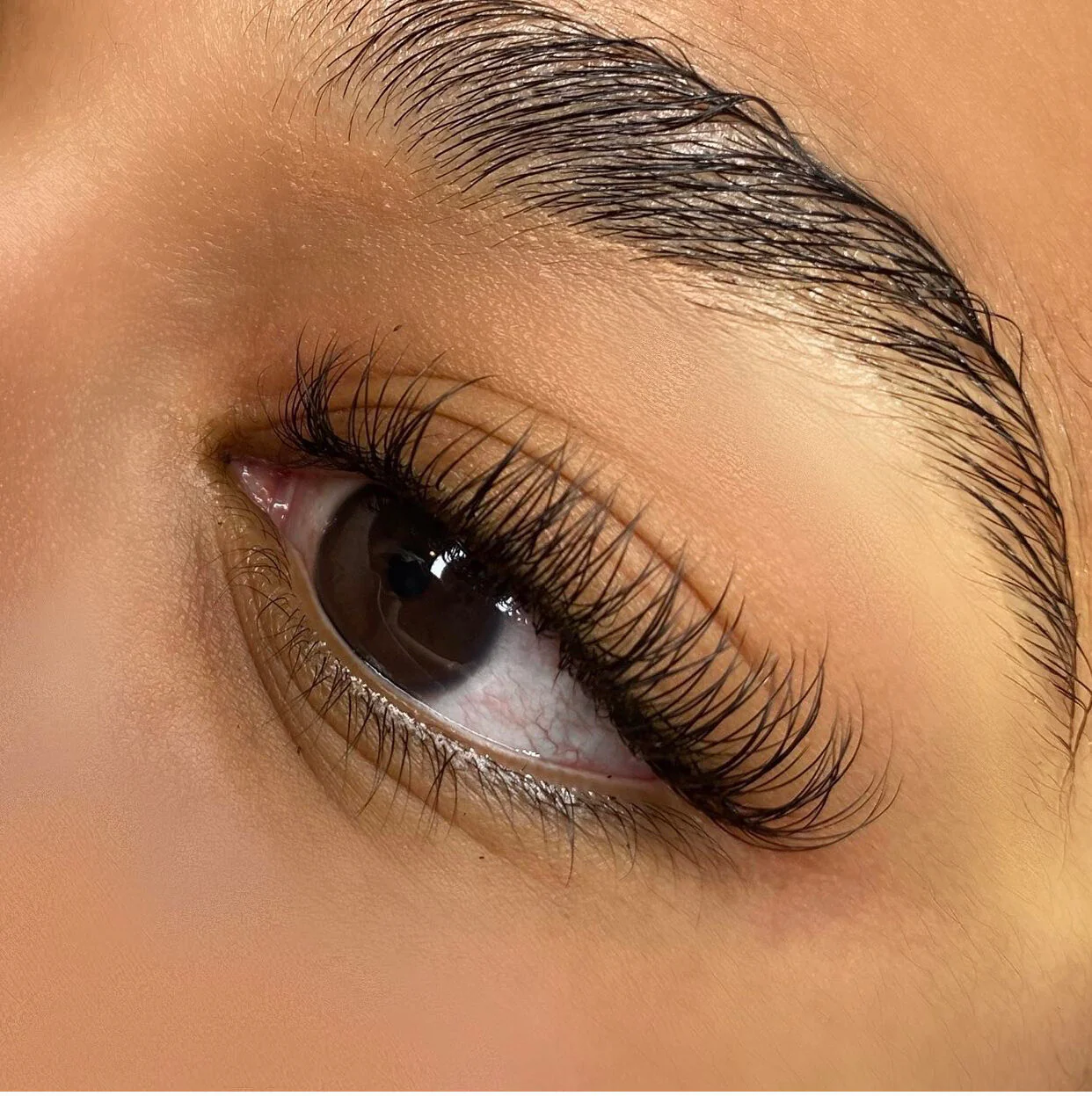 Eyelash Extensions (Classic Set)